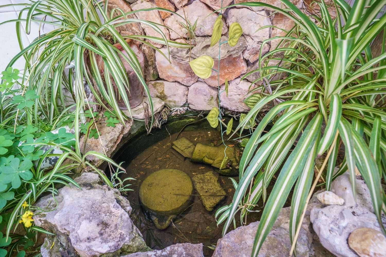 [object Object] - image