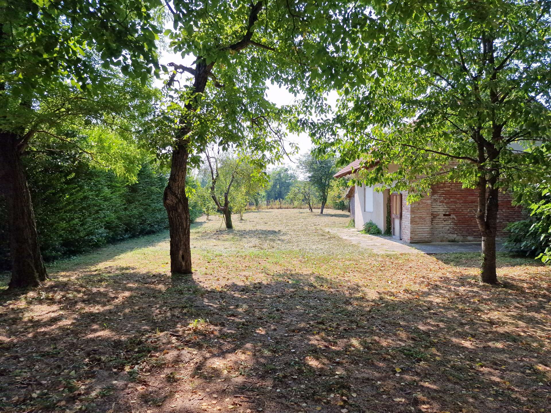 [object Object] - image