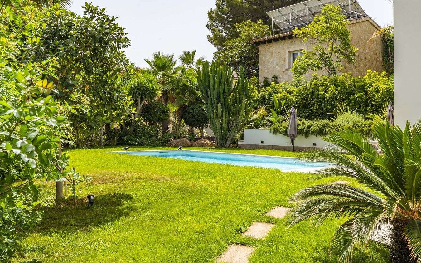 [object Object] - image