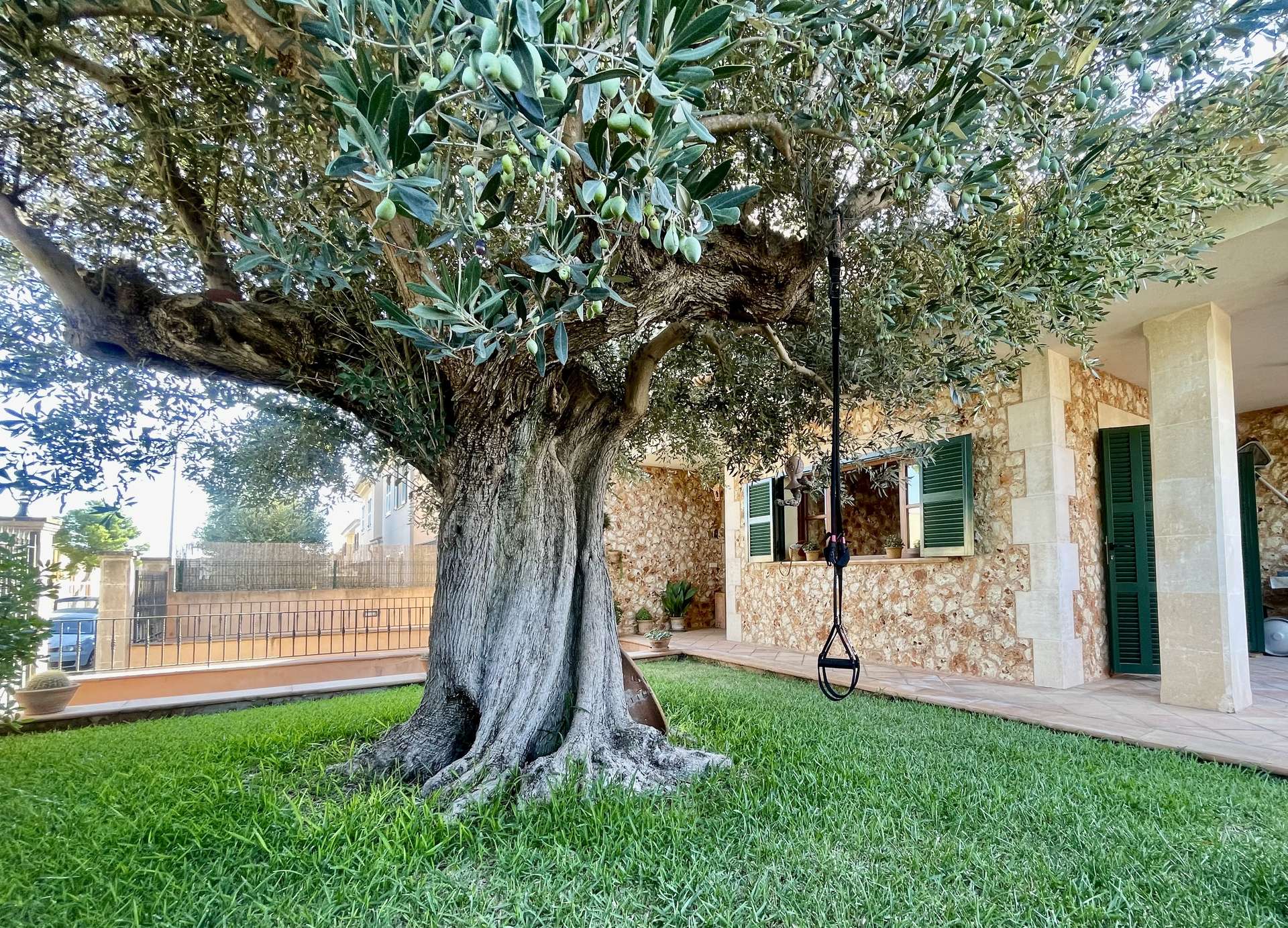 [object Object] - image