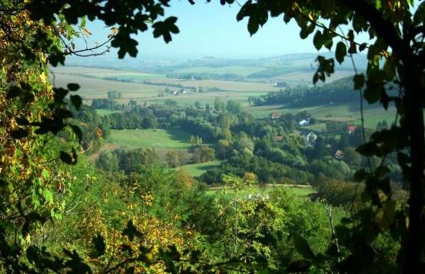 [object Object] - image