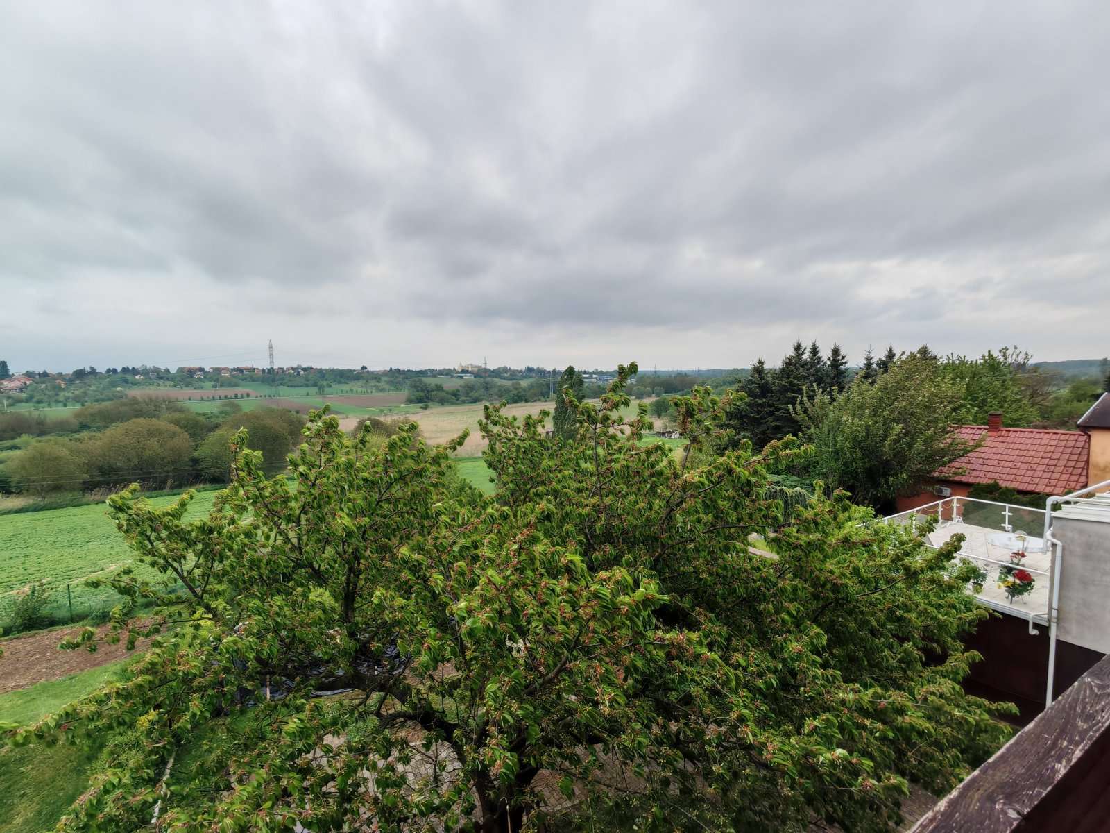 [object Object] - image