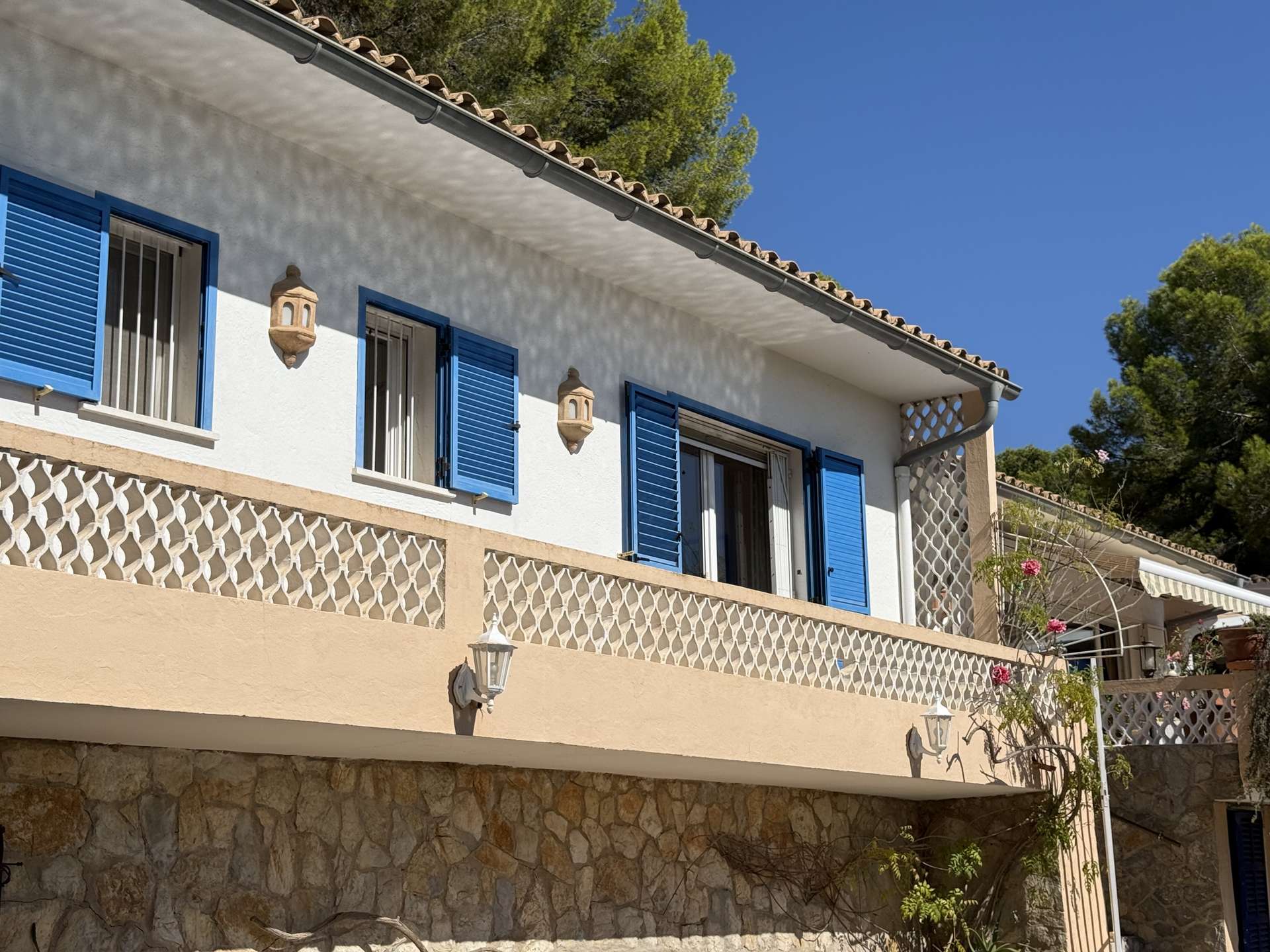 [object Object] - image