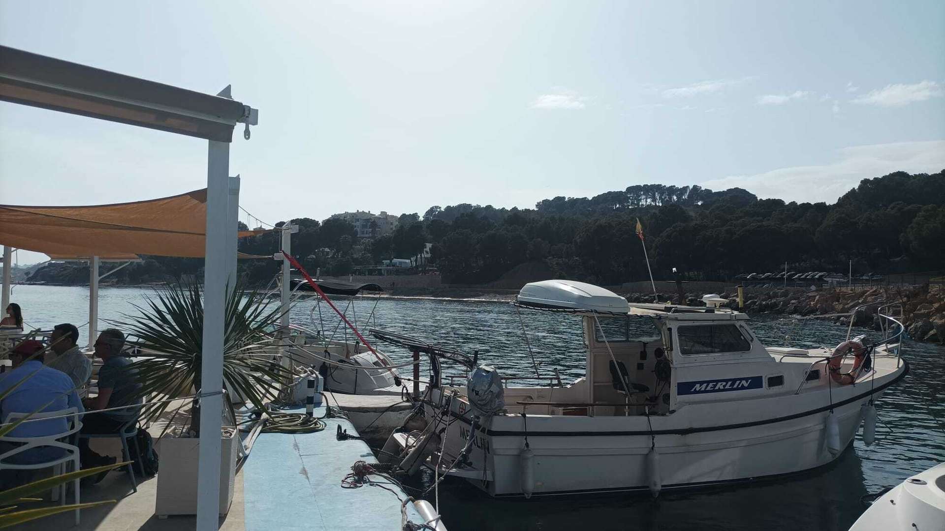 [object Object] - image