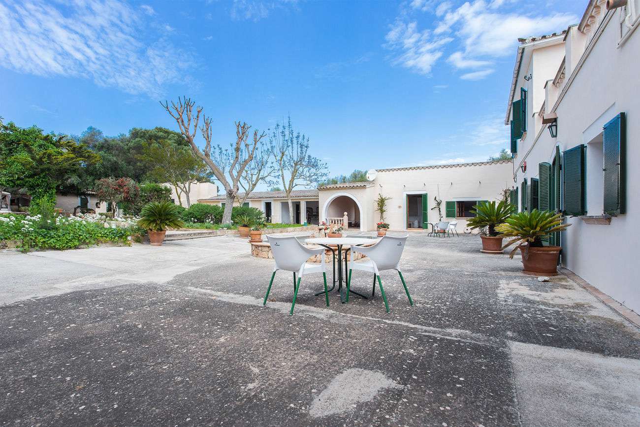 [object Object] - image