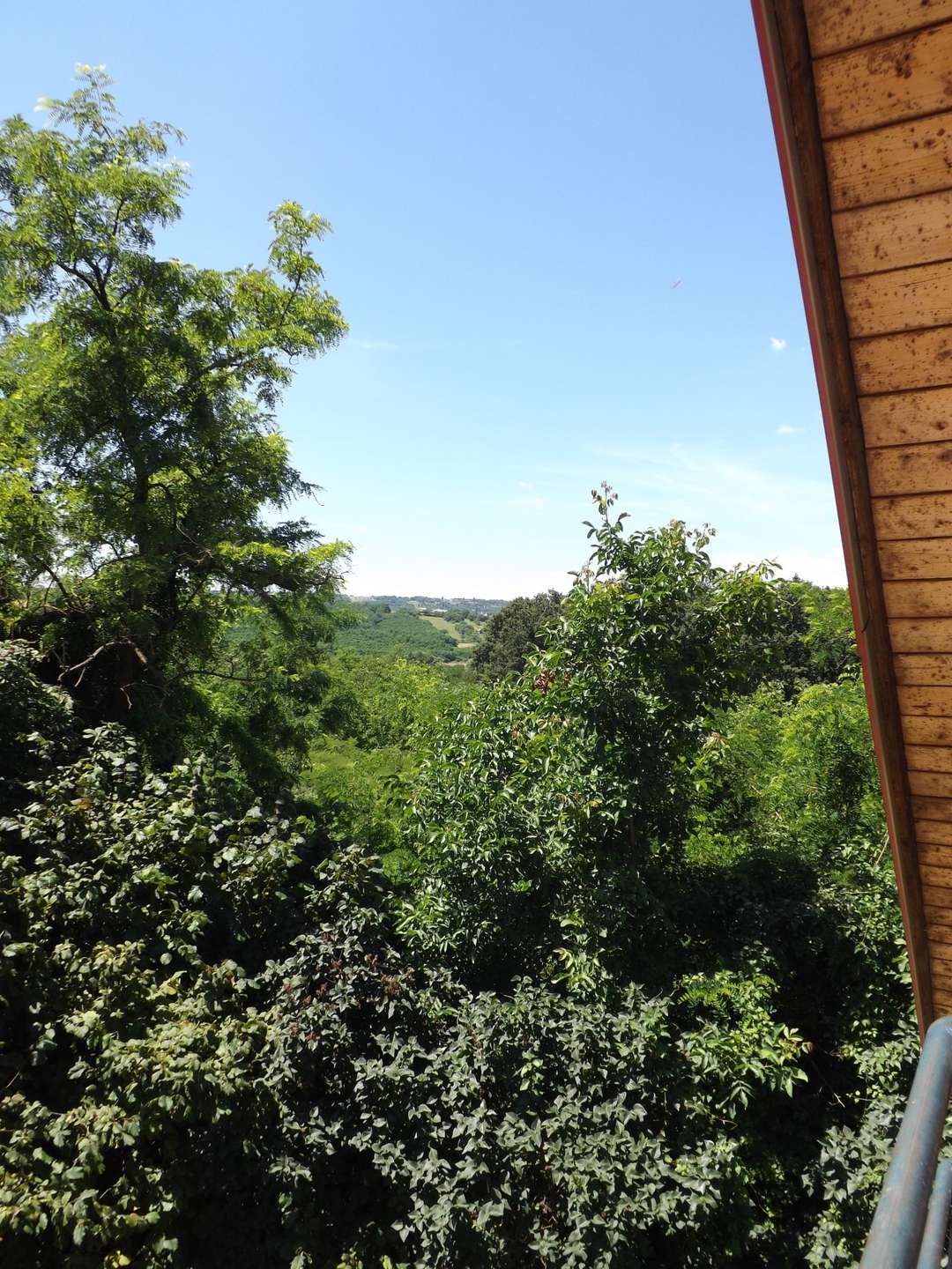 [object Object] - image