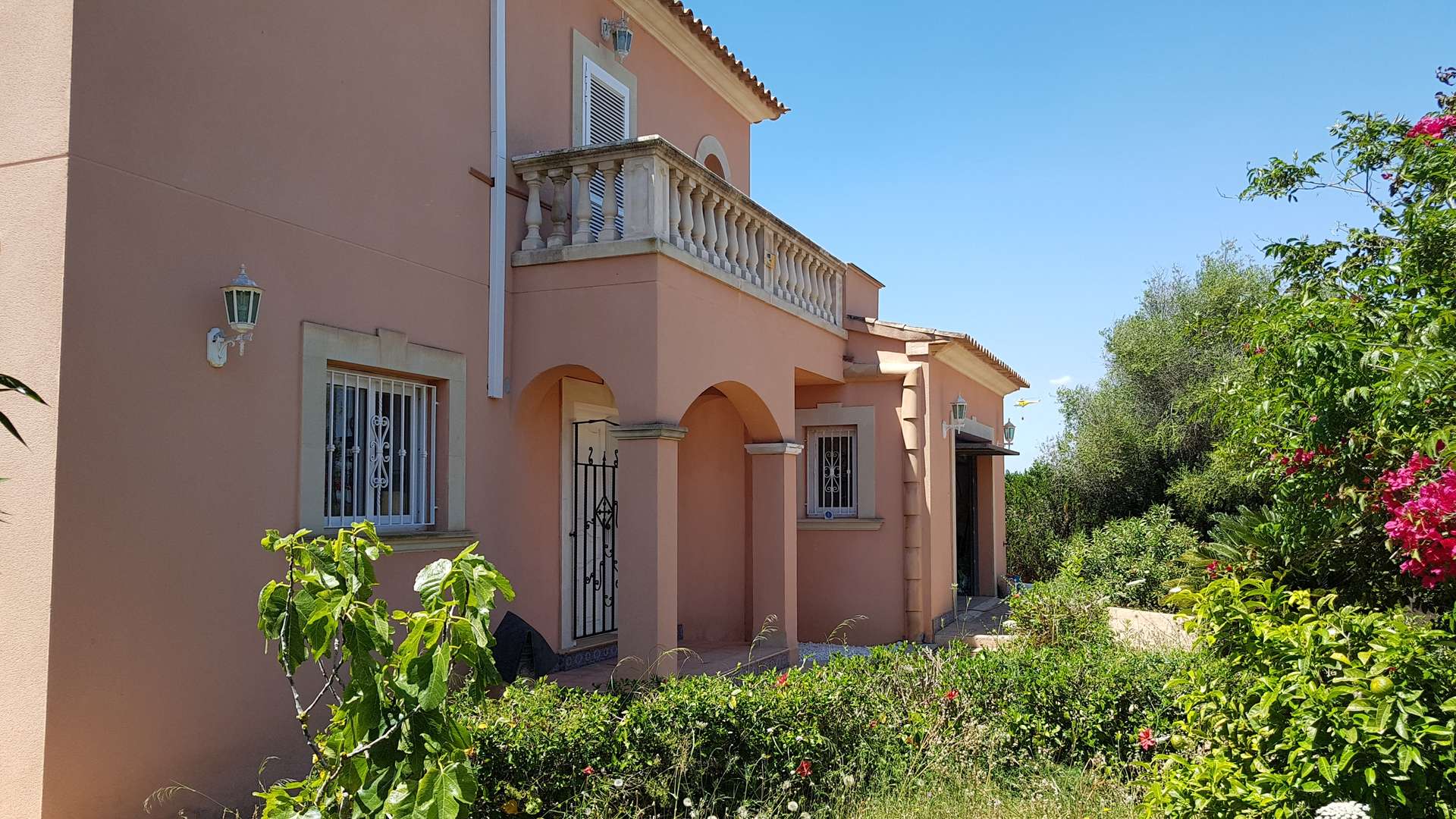 [object Object] - image