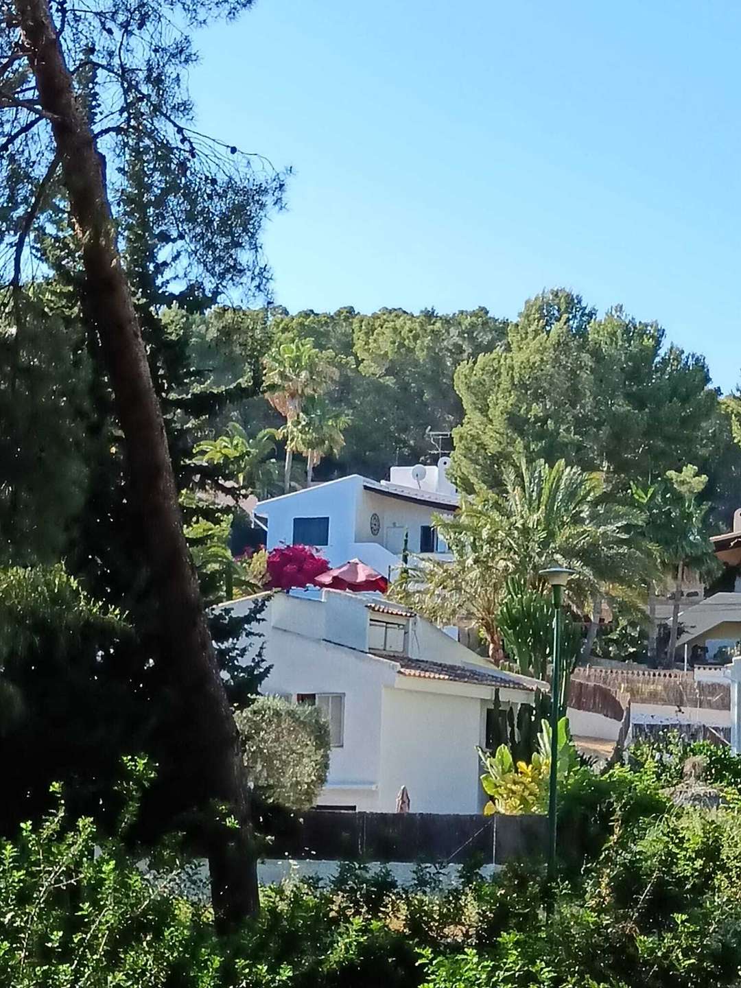 [object Object] - image