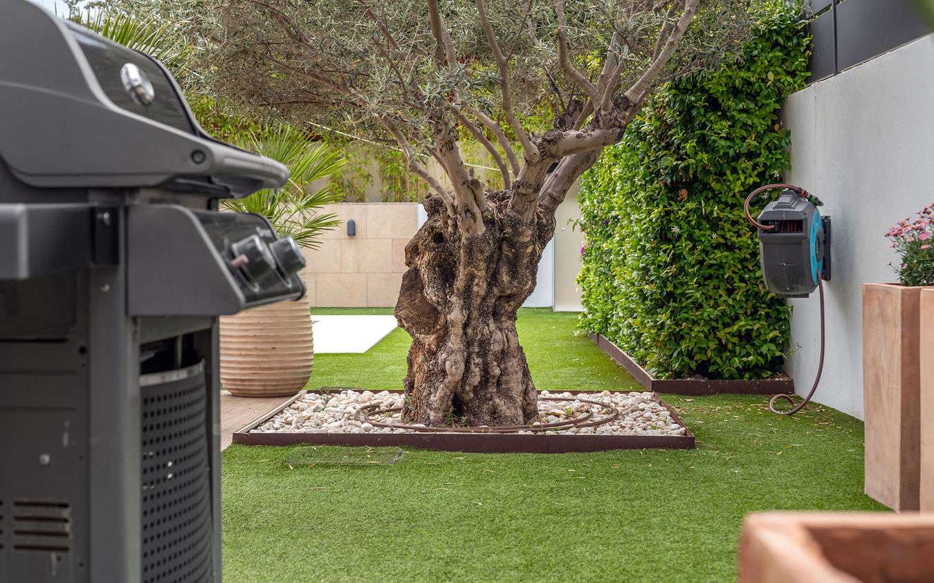 [object Object] - image