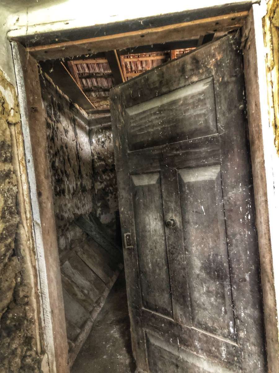 [object Object] - image