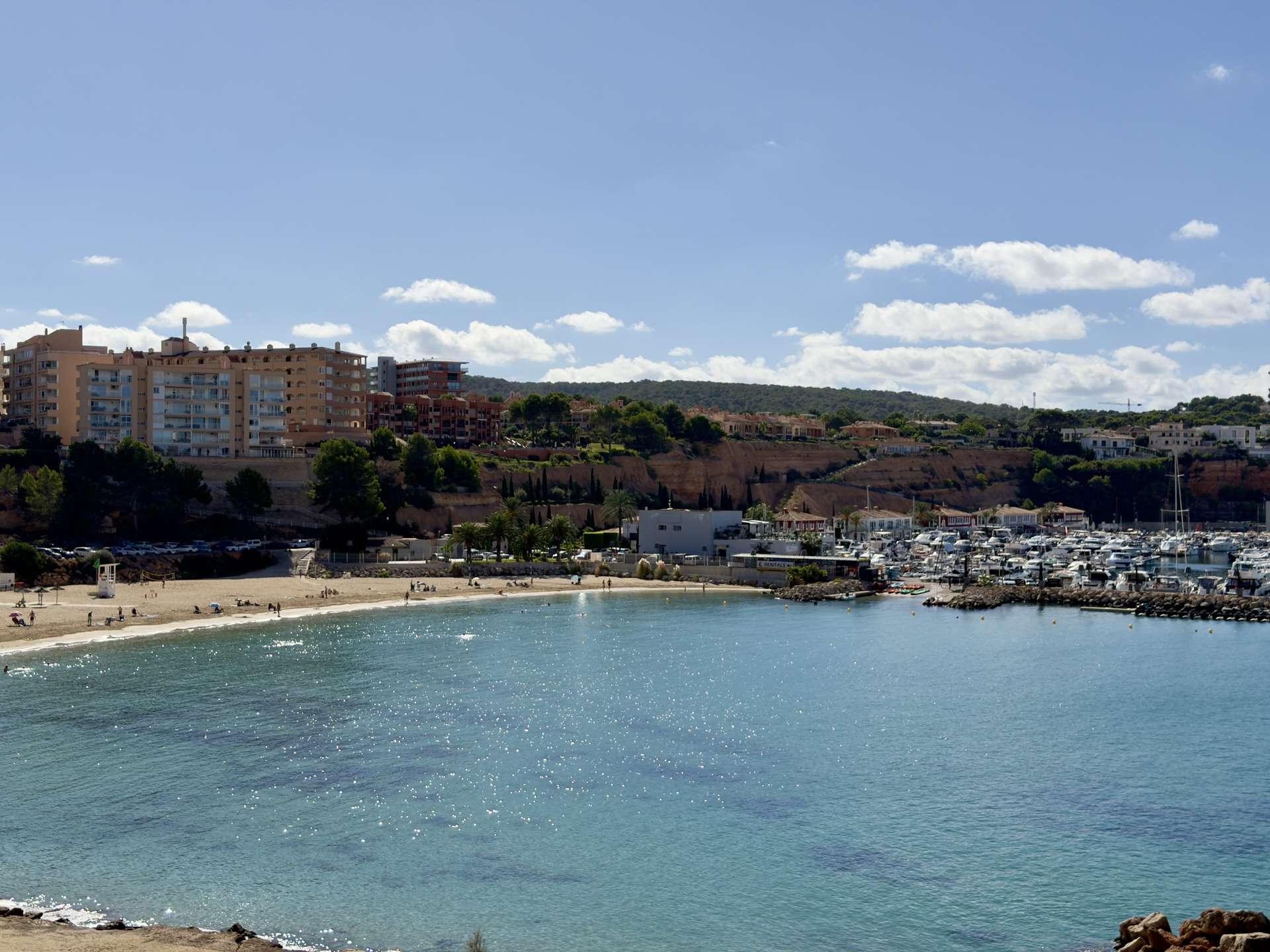 [object Object] - image