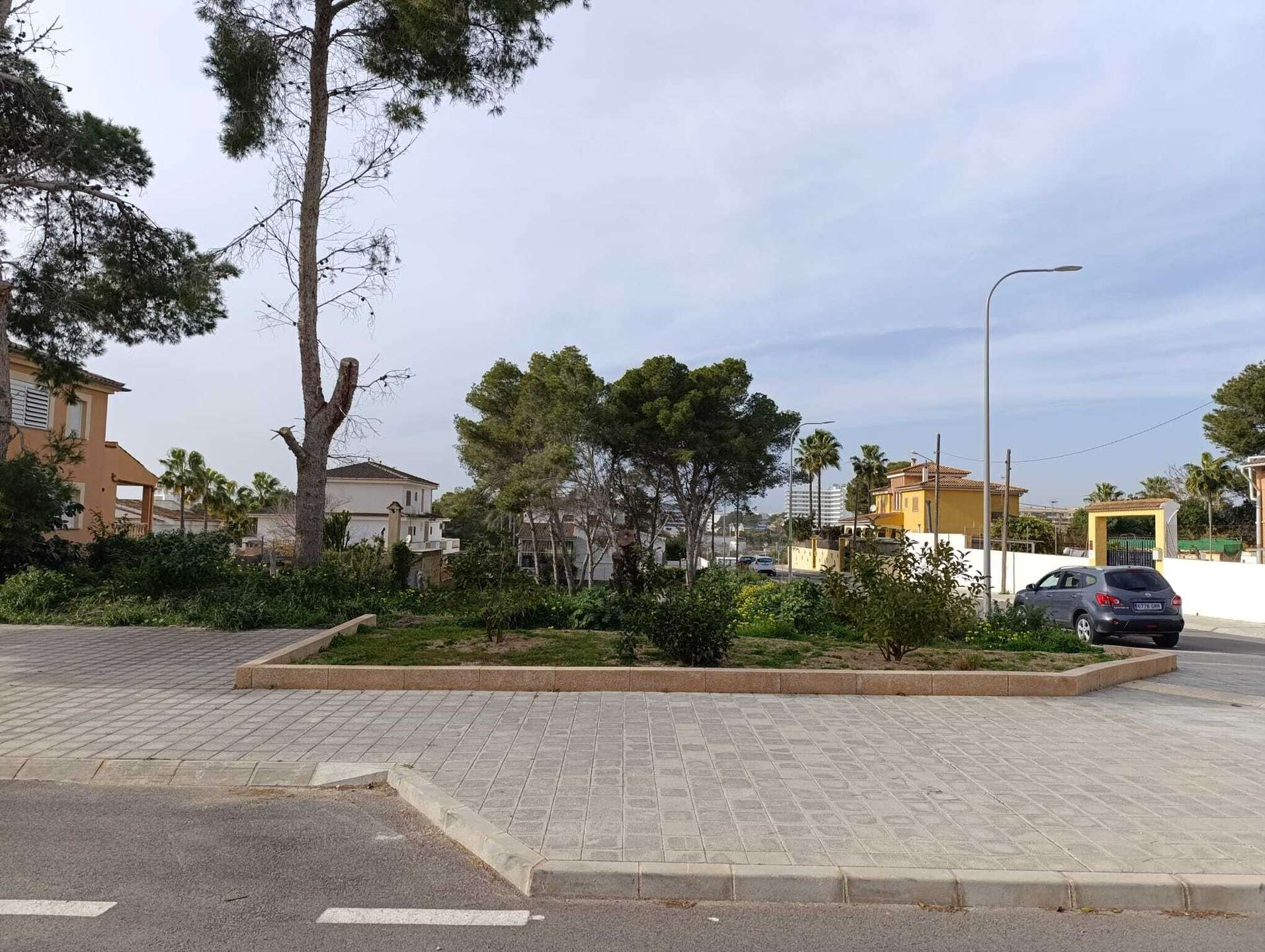 [object Object] - image