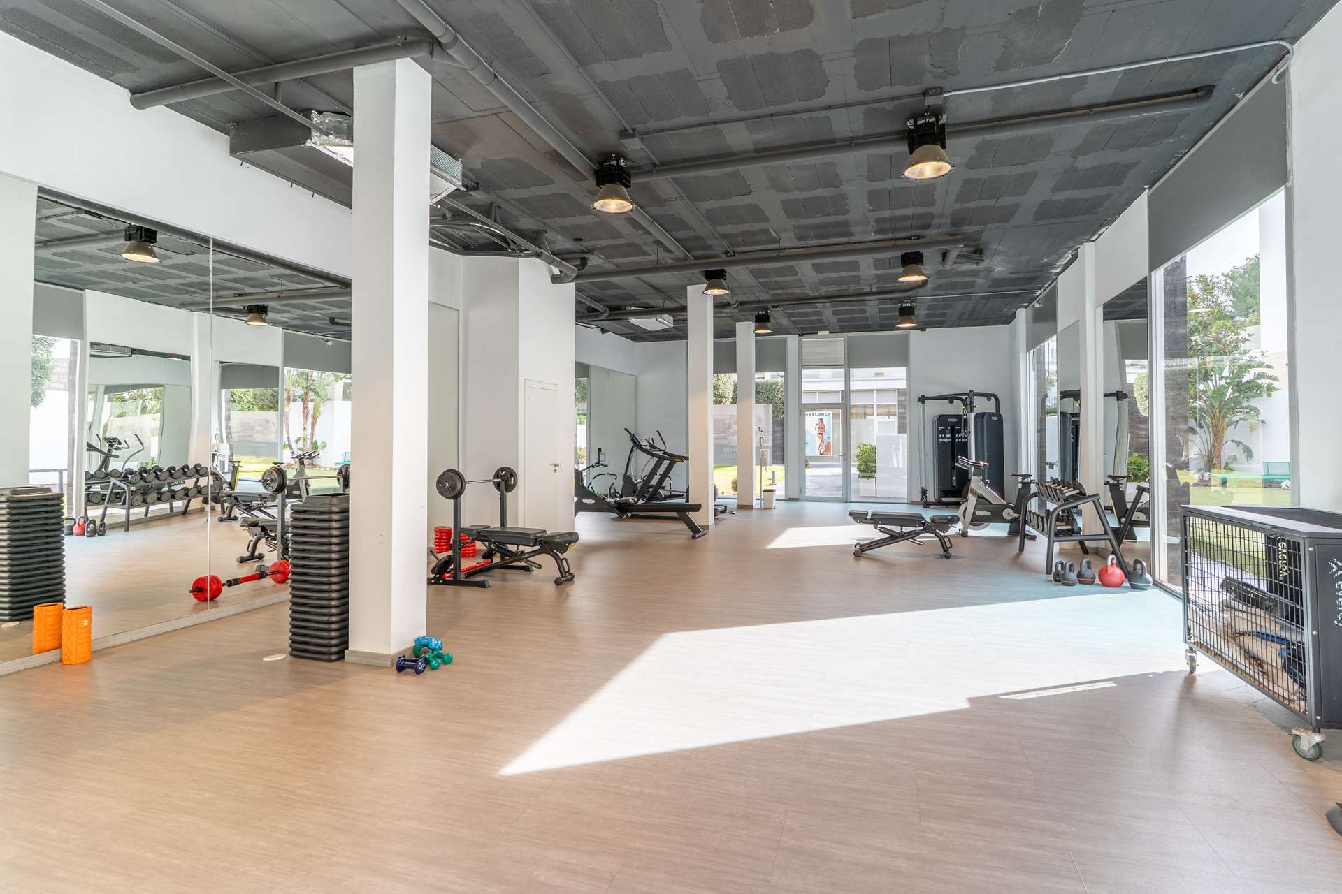 [object Object] - image