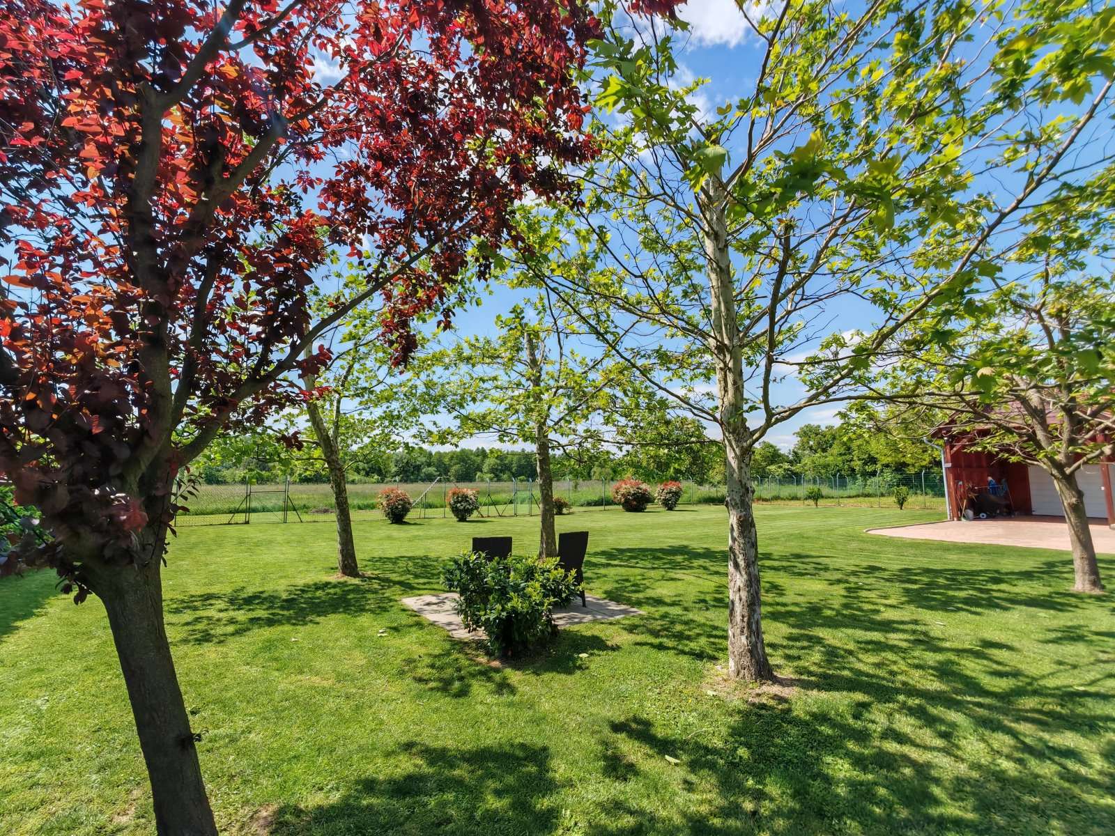 [object Object] - image