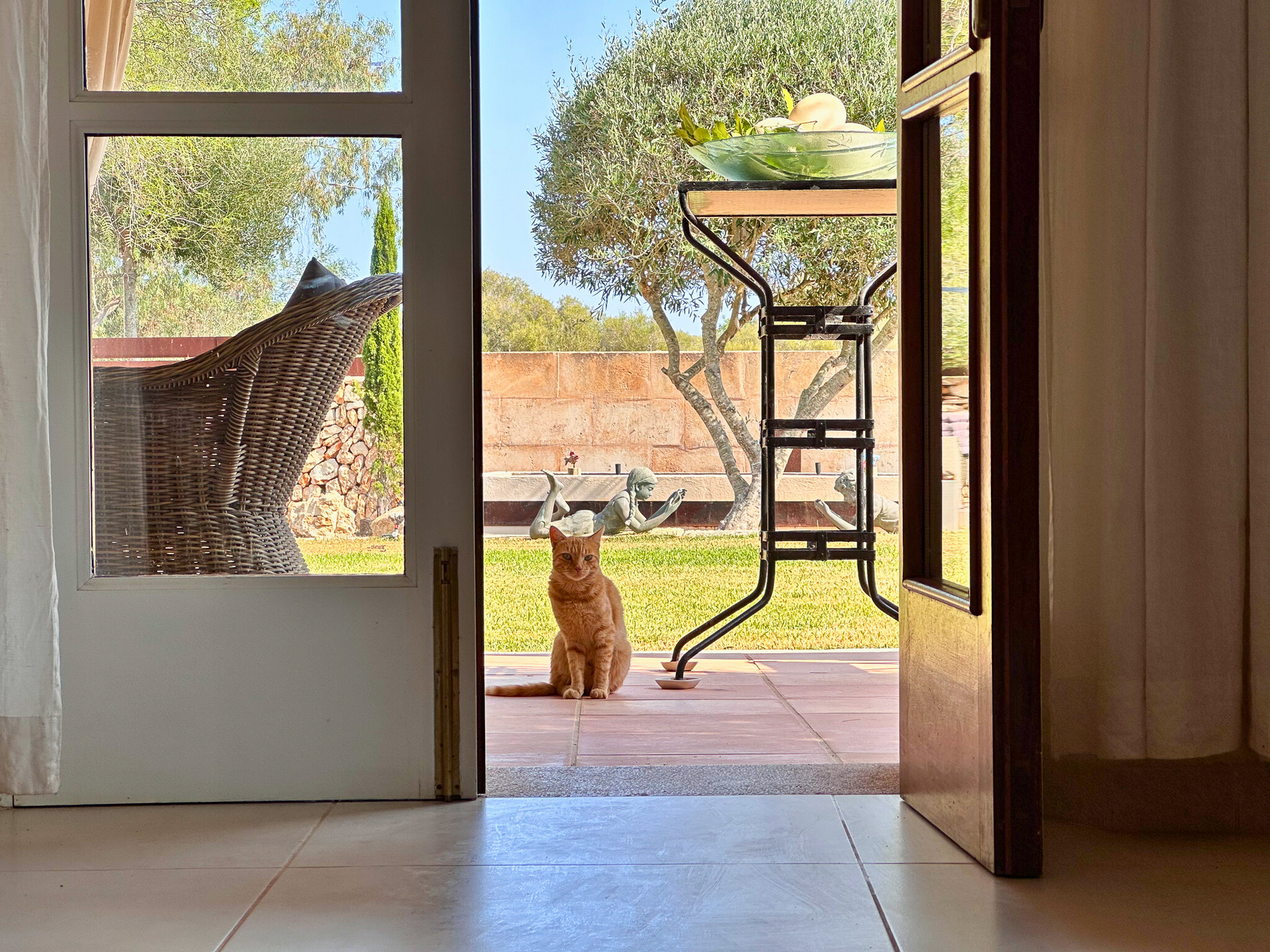 [object Object] - image