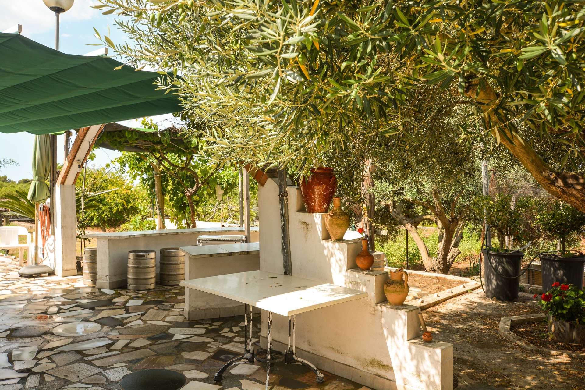 [object Object] - image