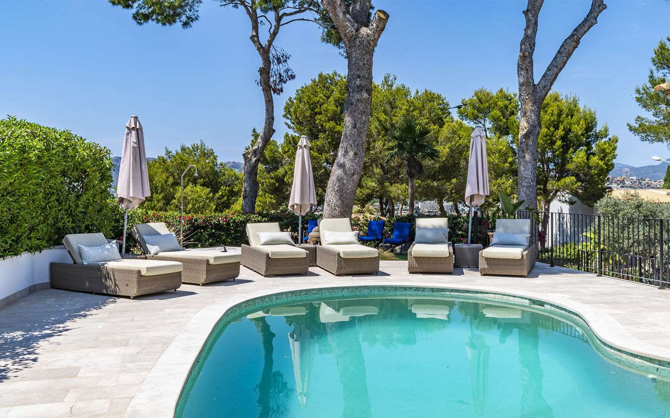 [object Object] - image