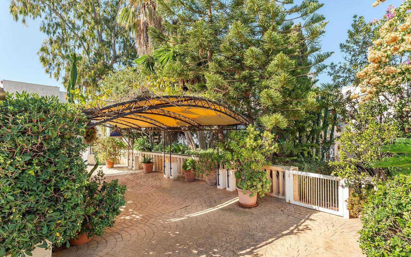 [object Object] - image