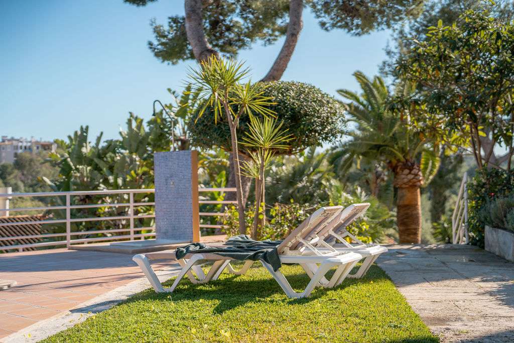 [object Object] - image