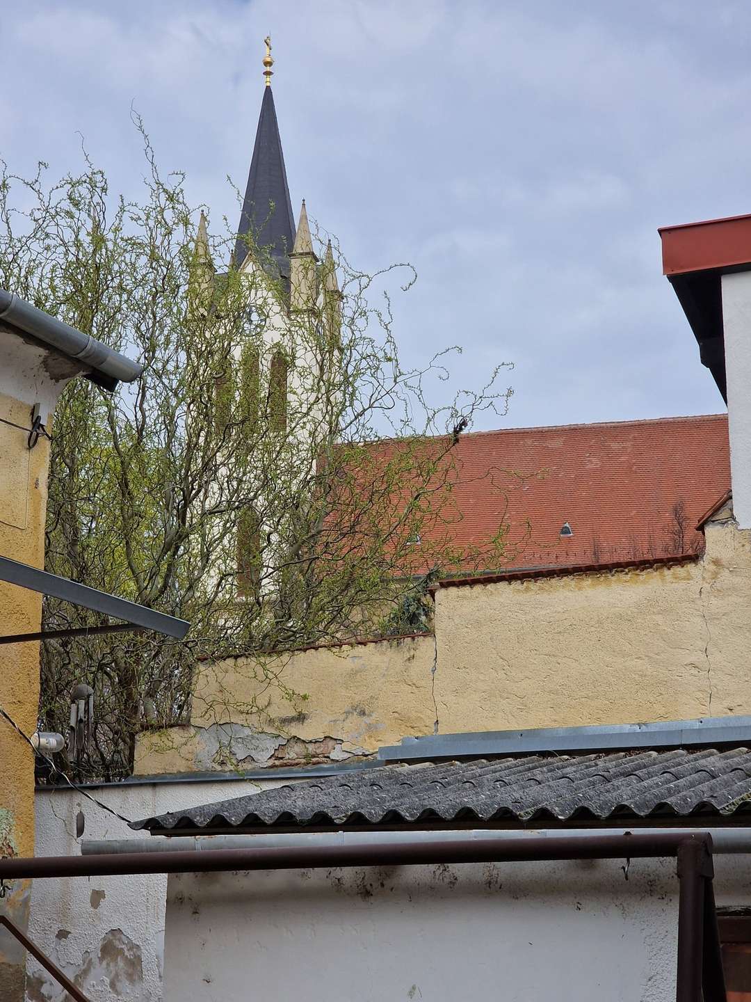 [object Object] - image