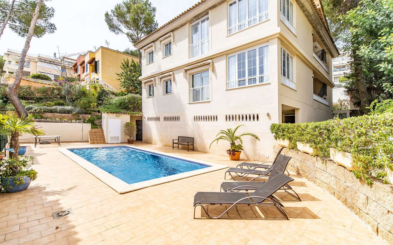 [object Object] - image