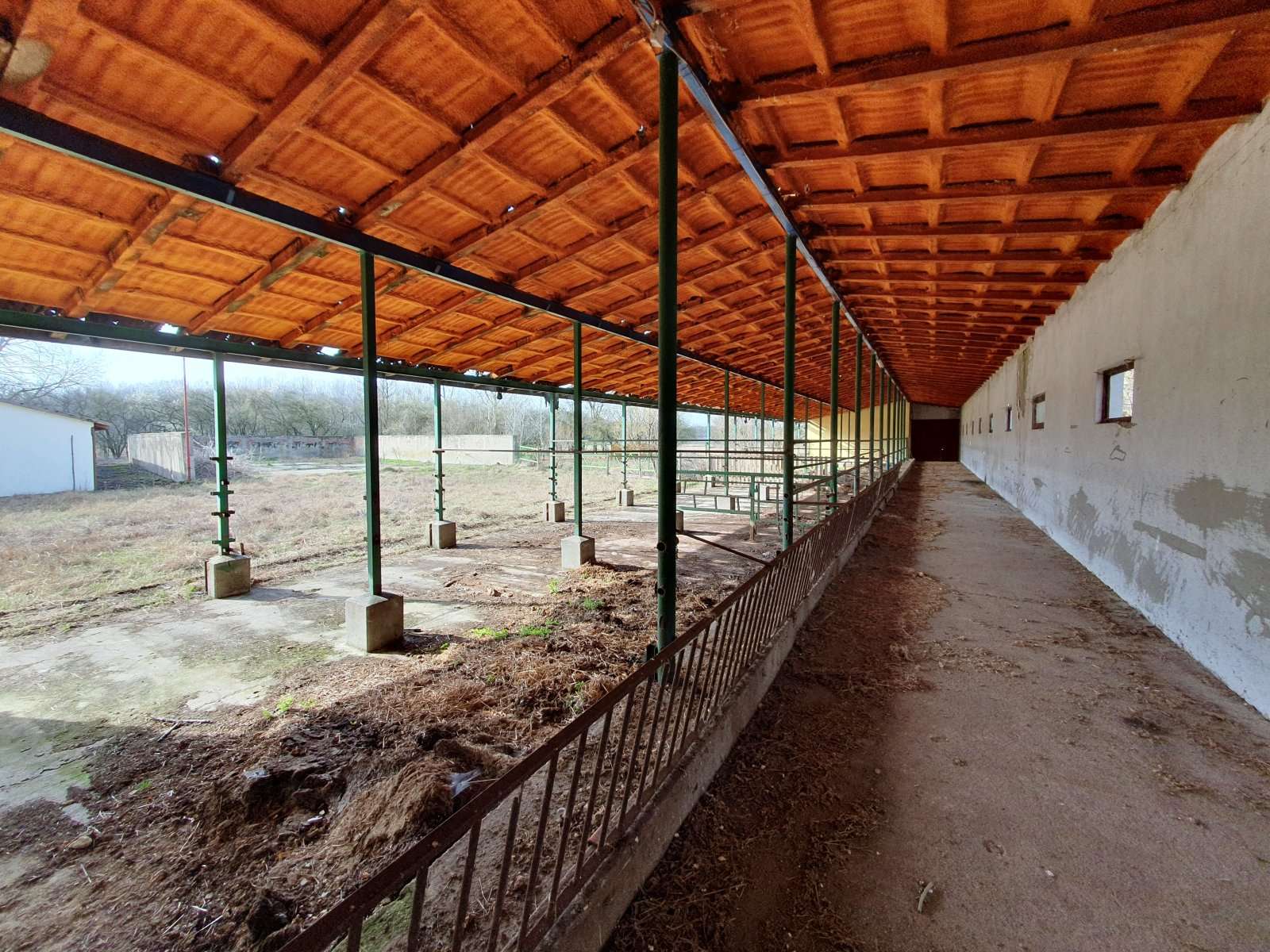 [object Object] - image