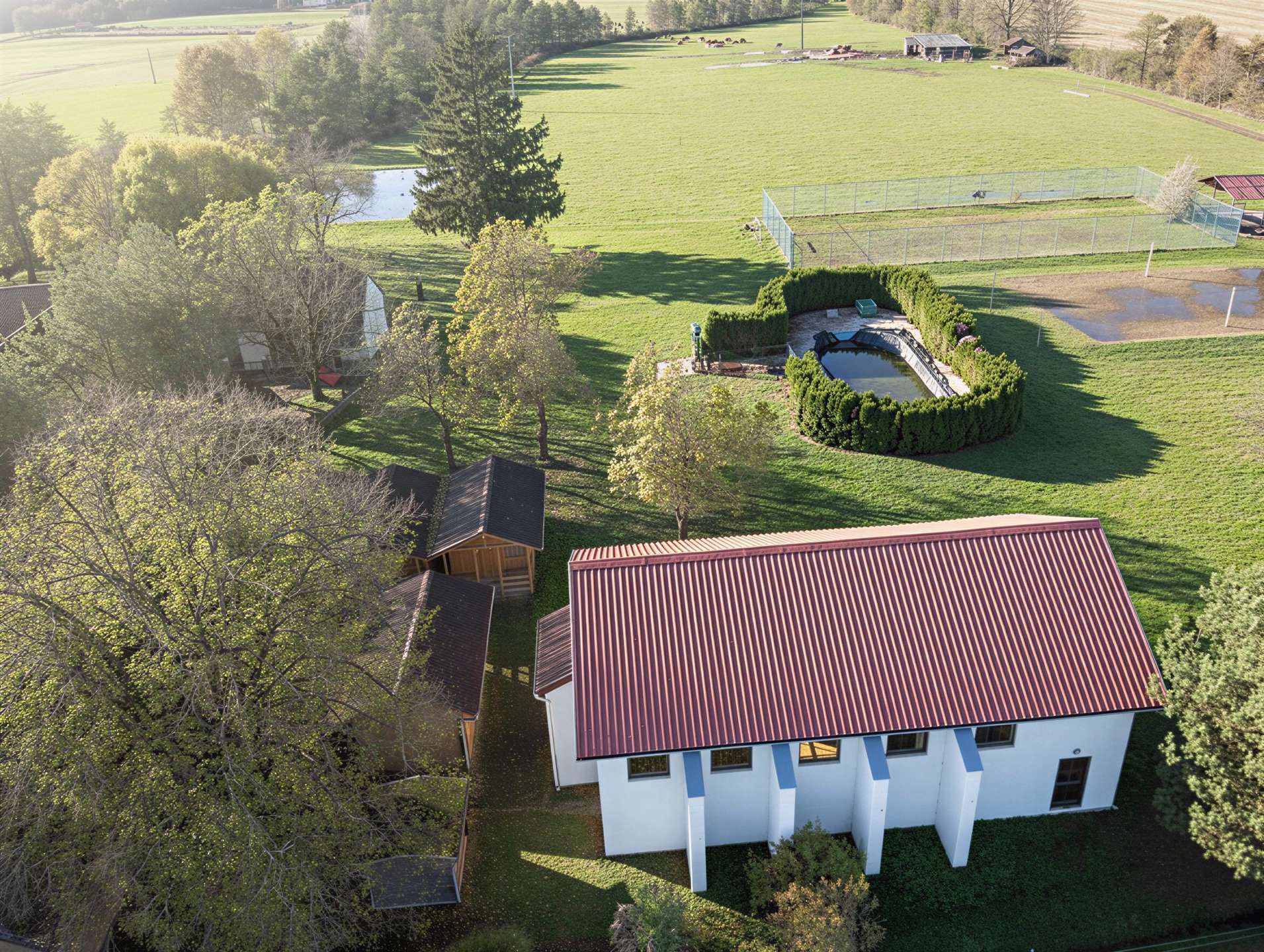 [object Object] - image