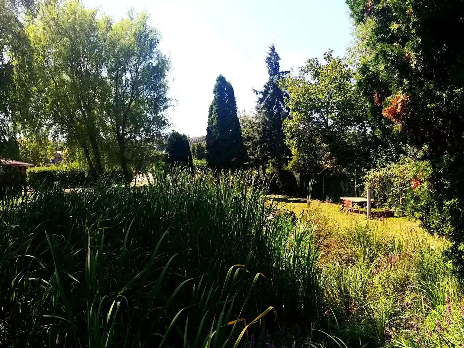 [object Object] - image