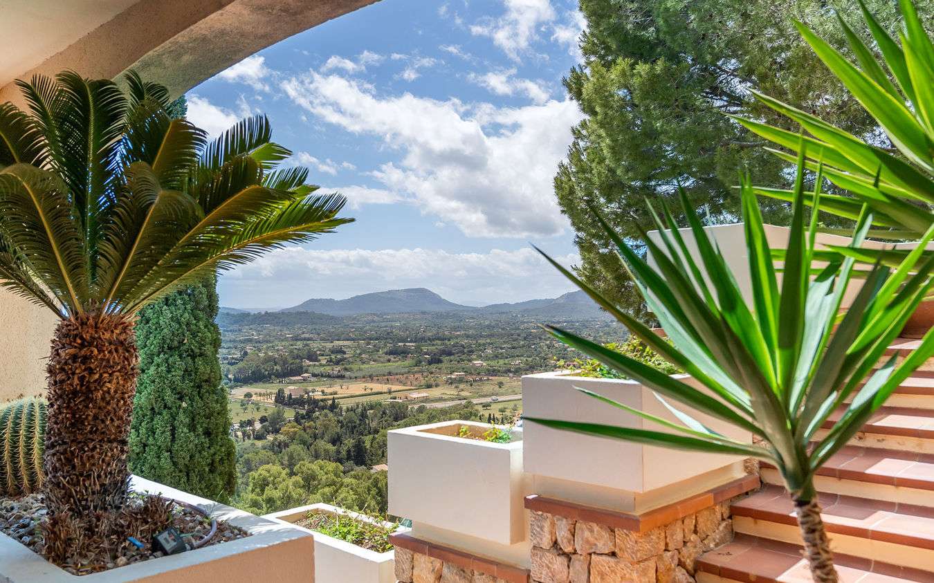 [object Object] - image