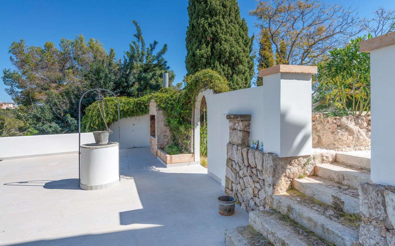 [object Object] - image