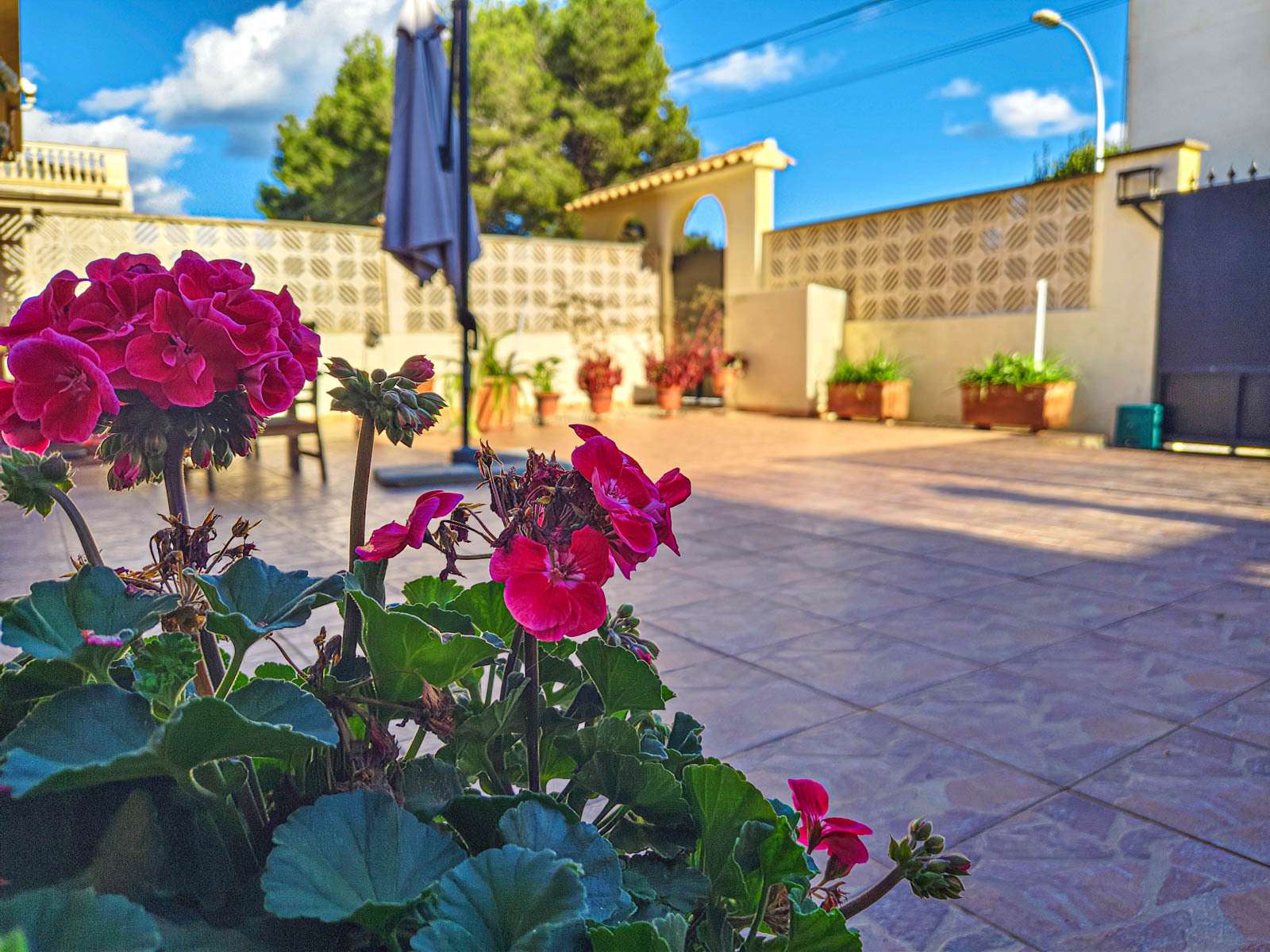 [object Object] - image