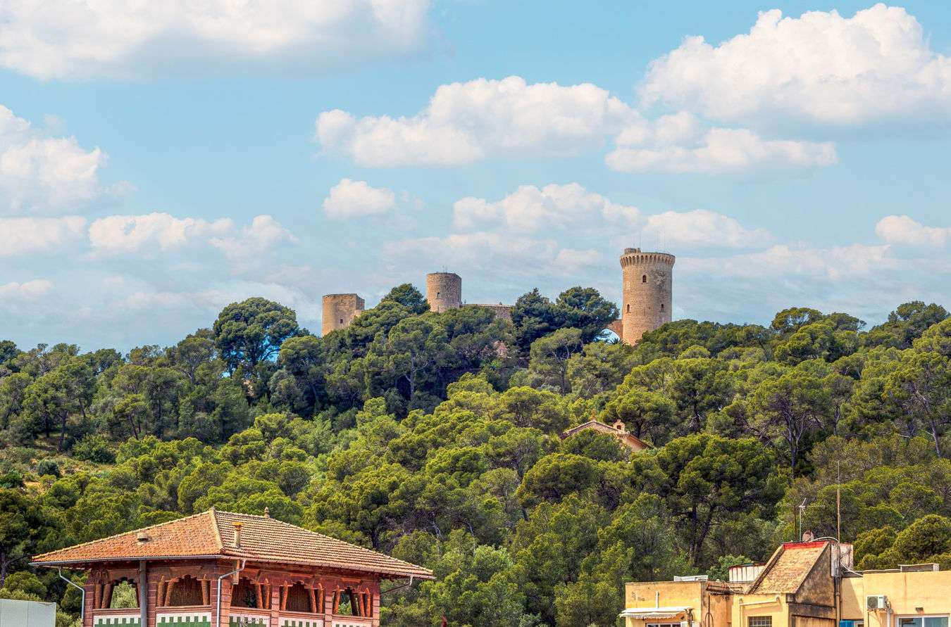 [object Object] - image