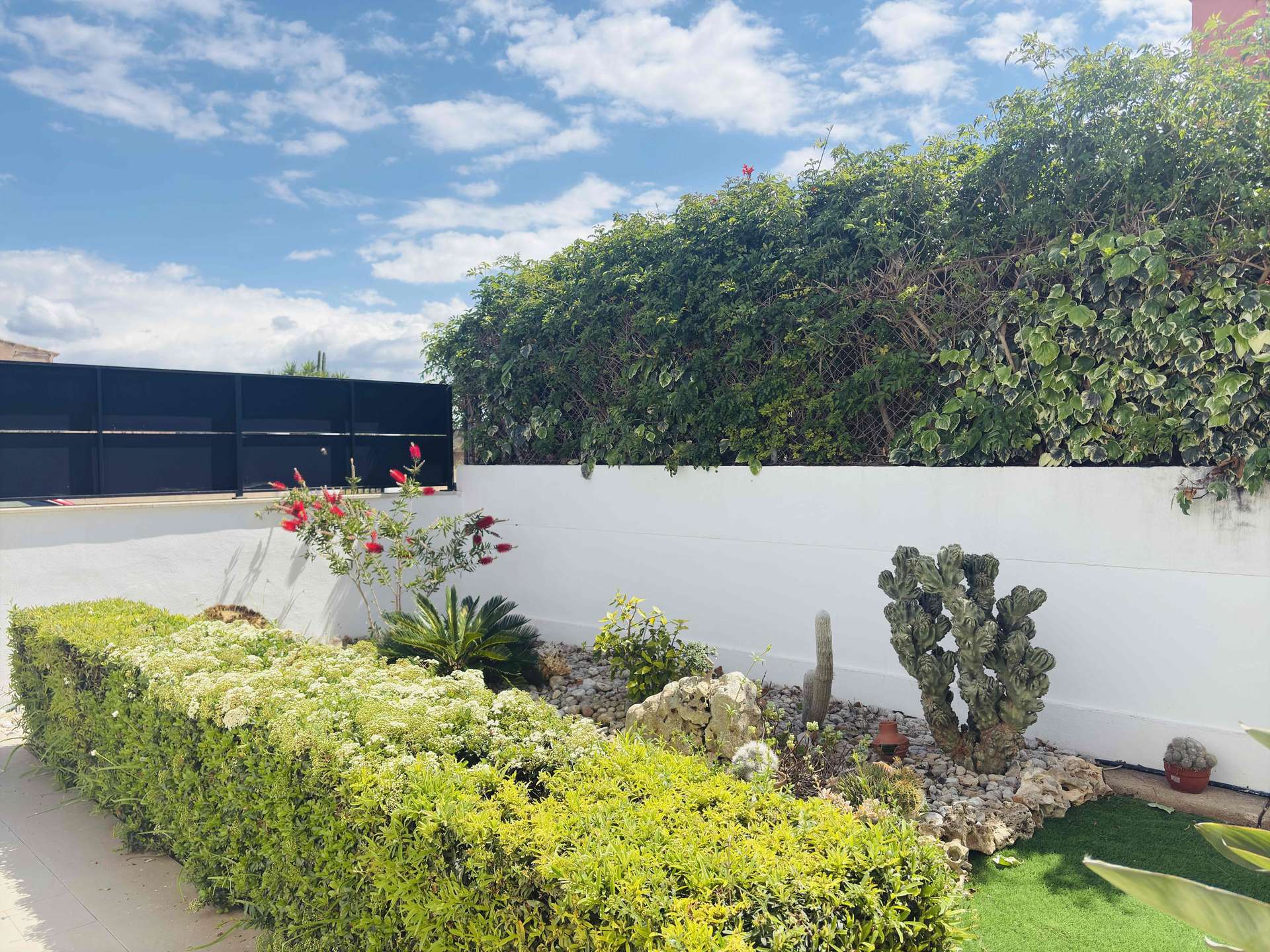 [object Object] - image