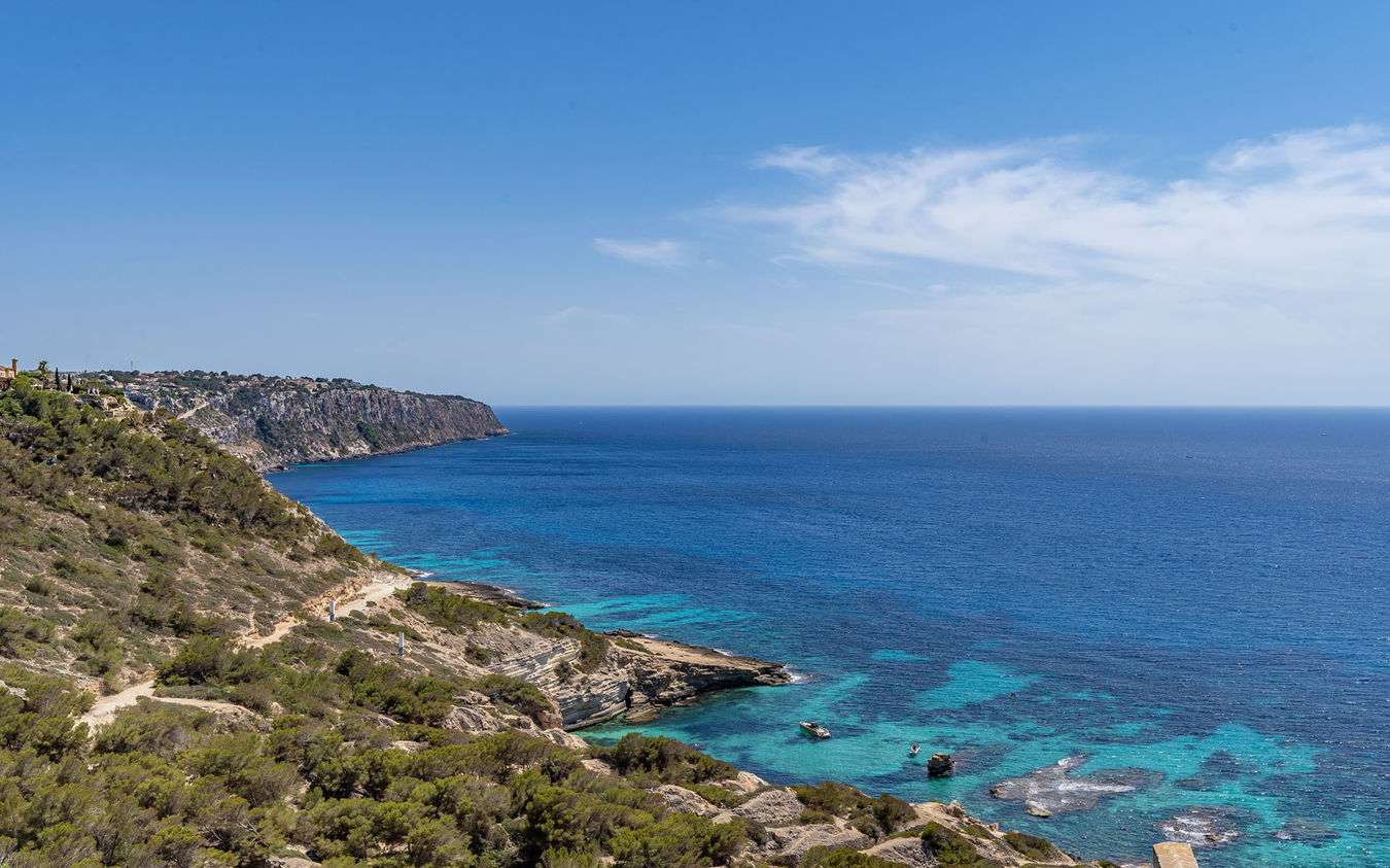 [object Object] - image