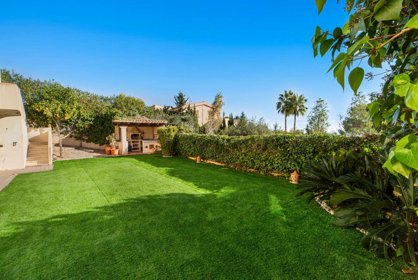 [object Object] - image