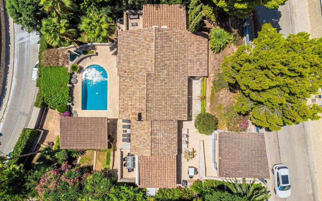 [object Object] - image