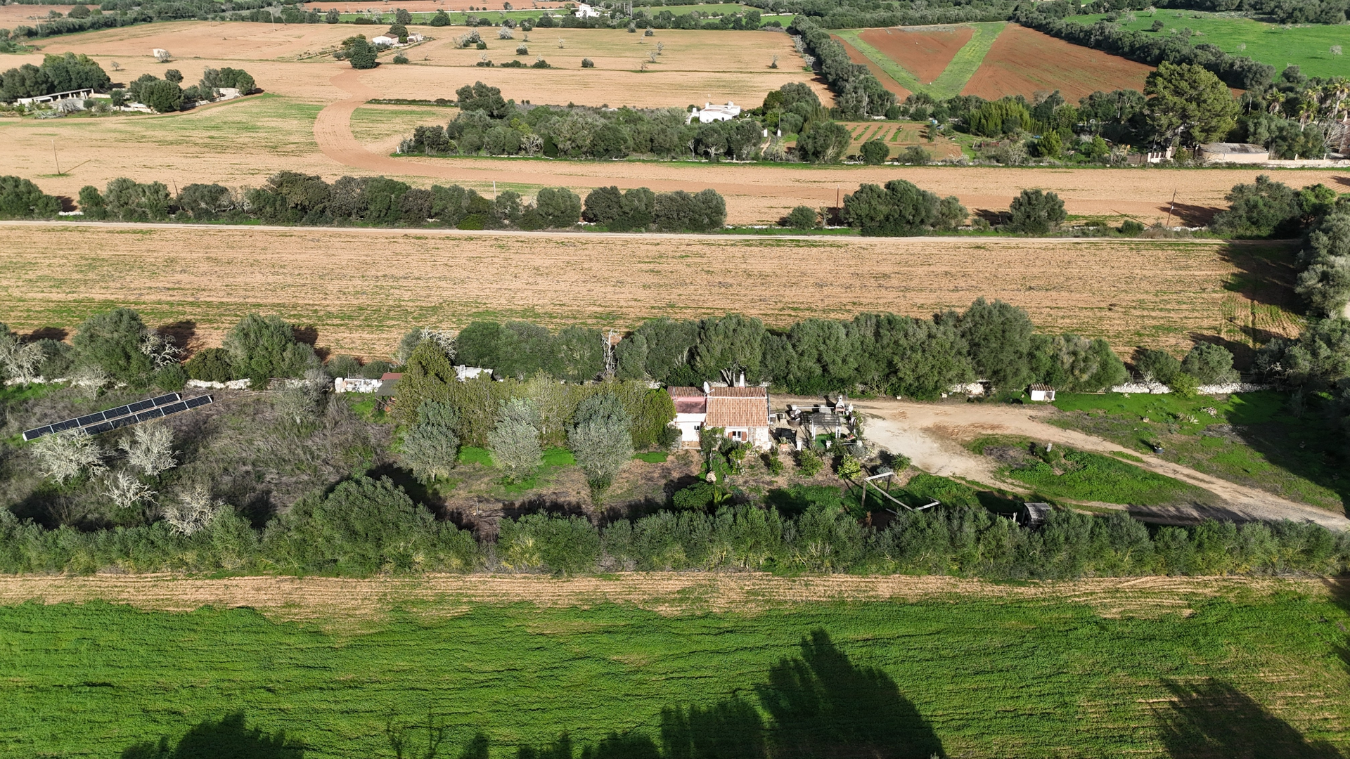 [object Object] - image