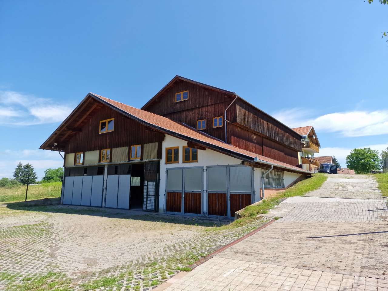 [object Object] - image