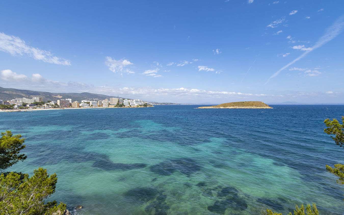 [object Object] - image