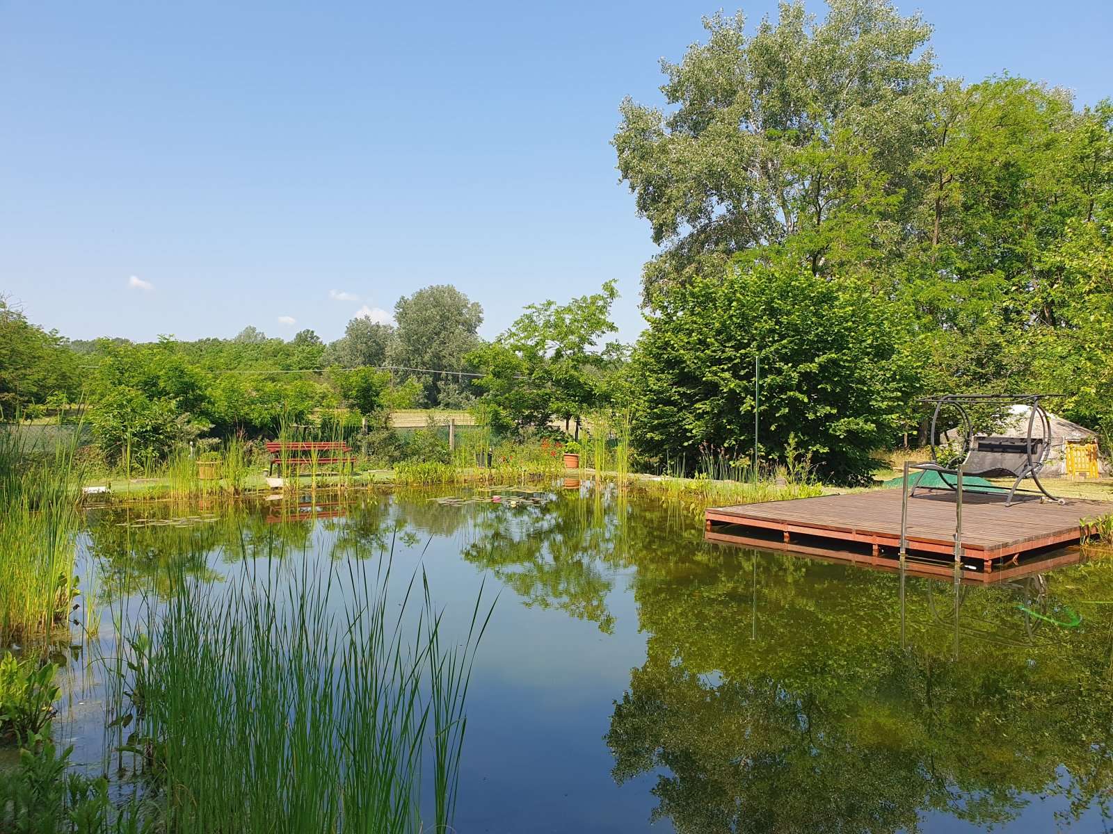 [object Object] - image