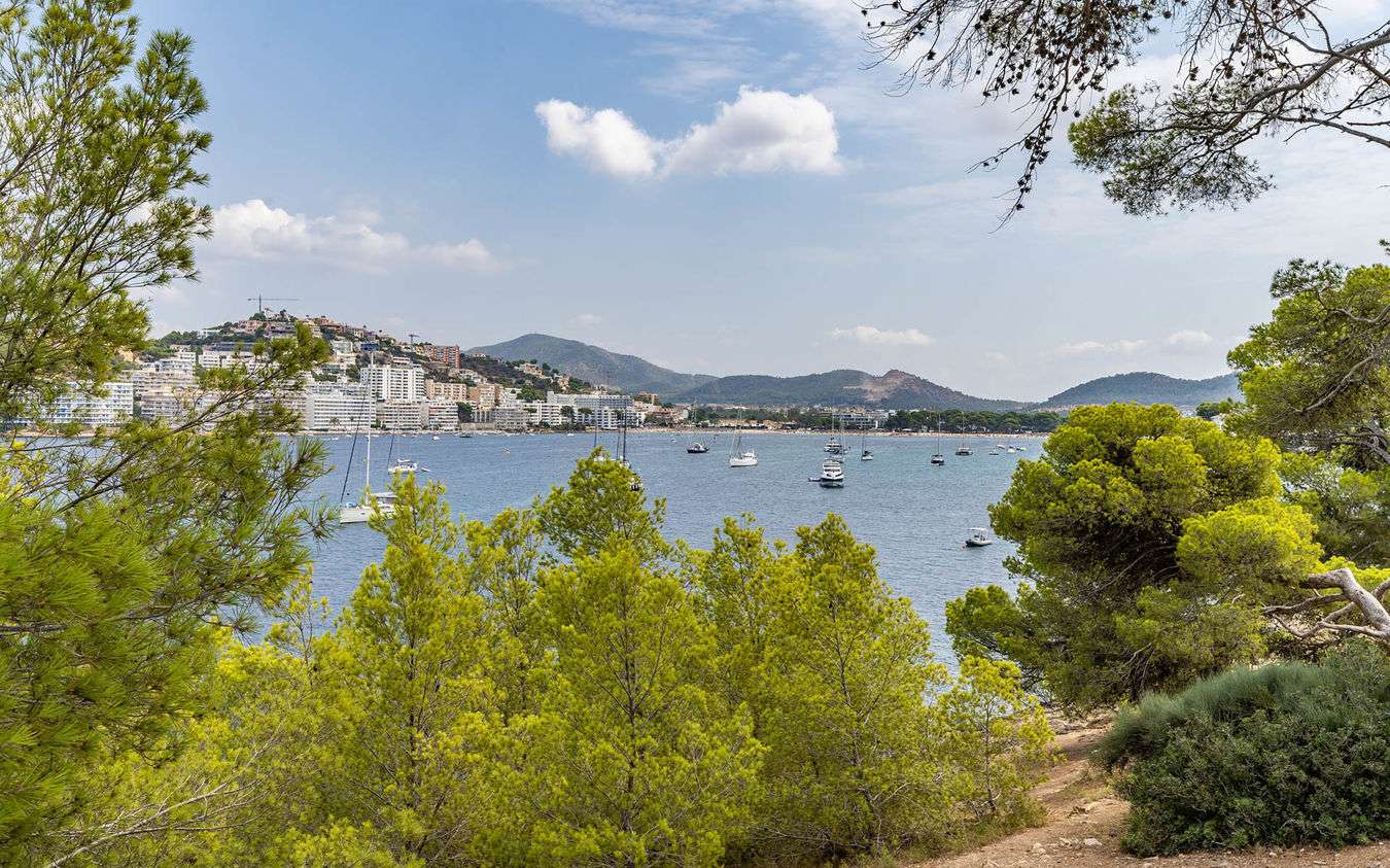 [object Object] - image