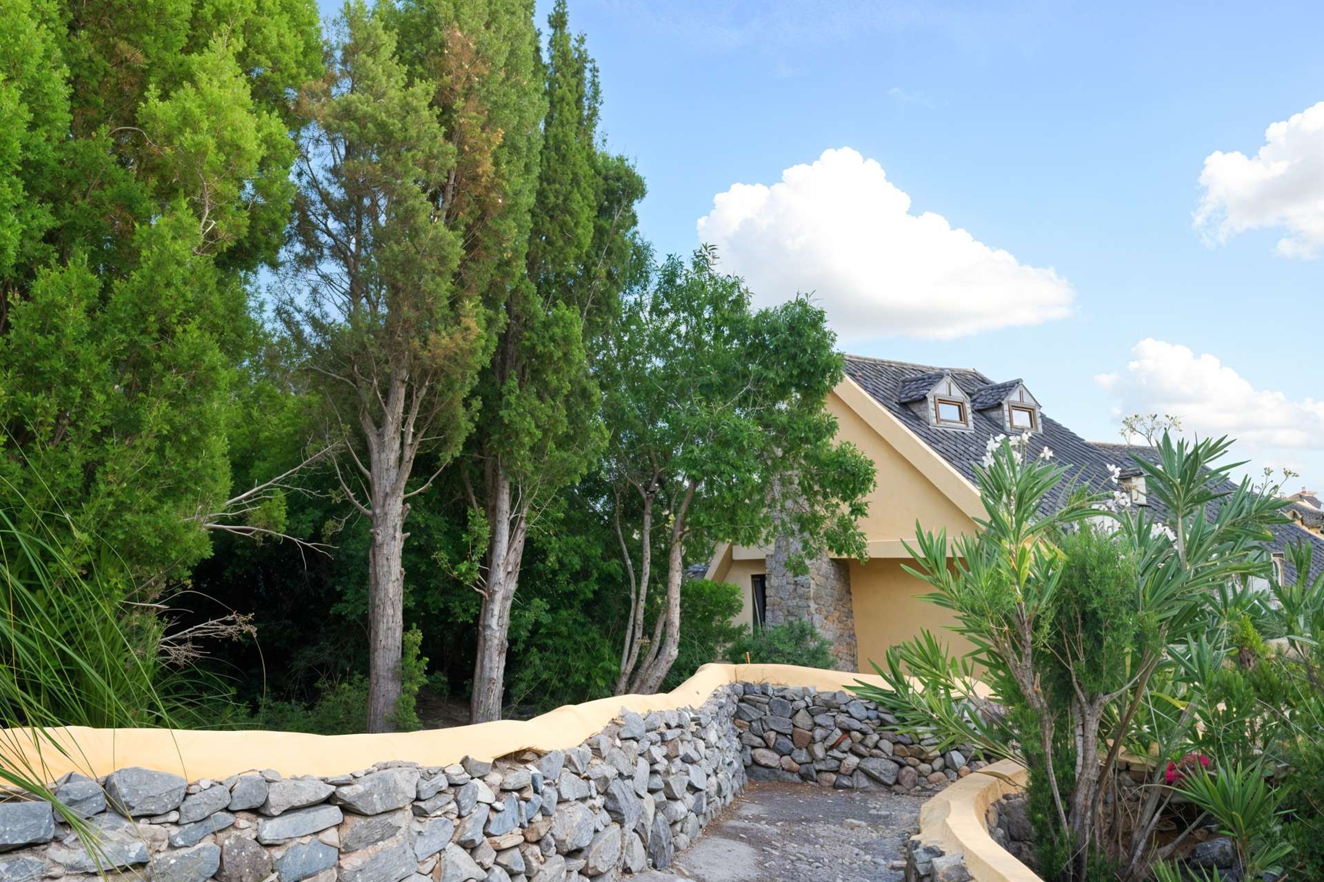 [object Object] - image