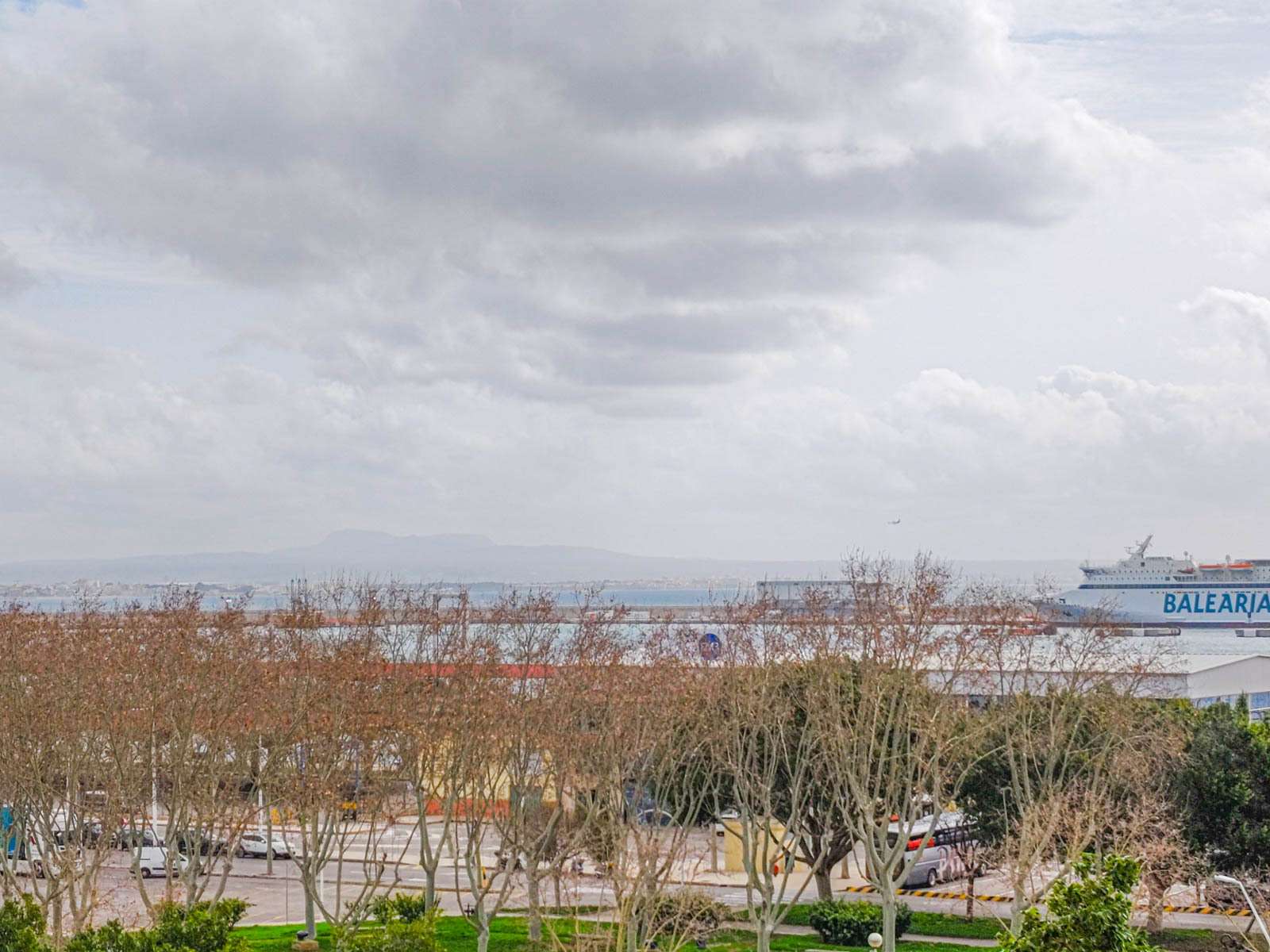 [object Object] - image