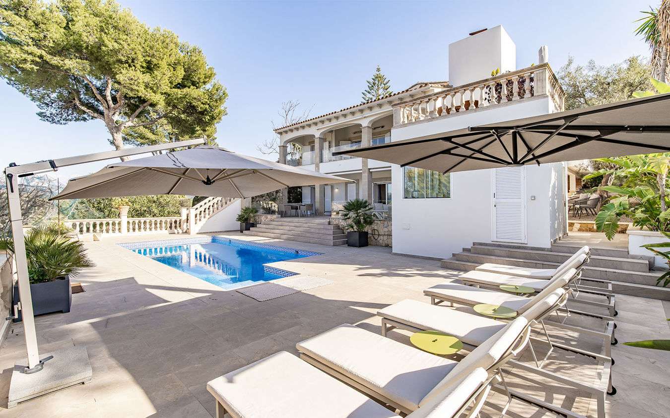 [object Object] - image