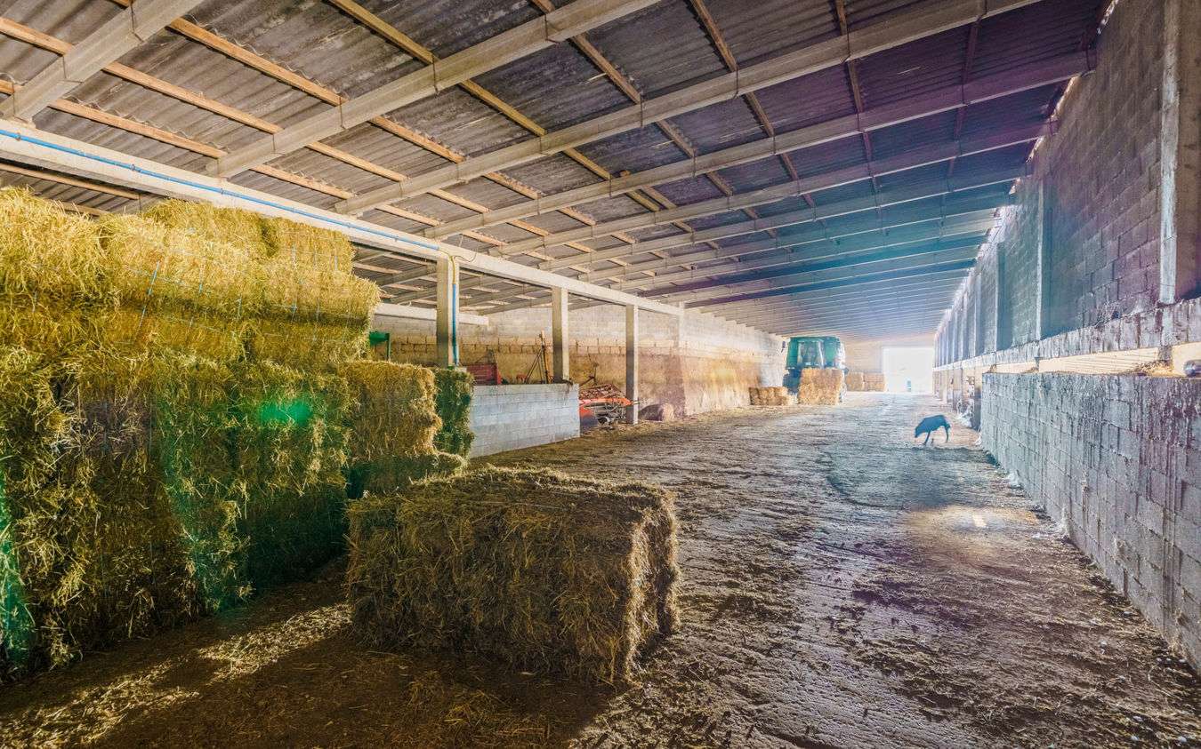 [object Object] - image