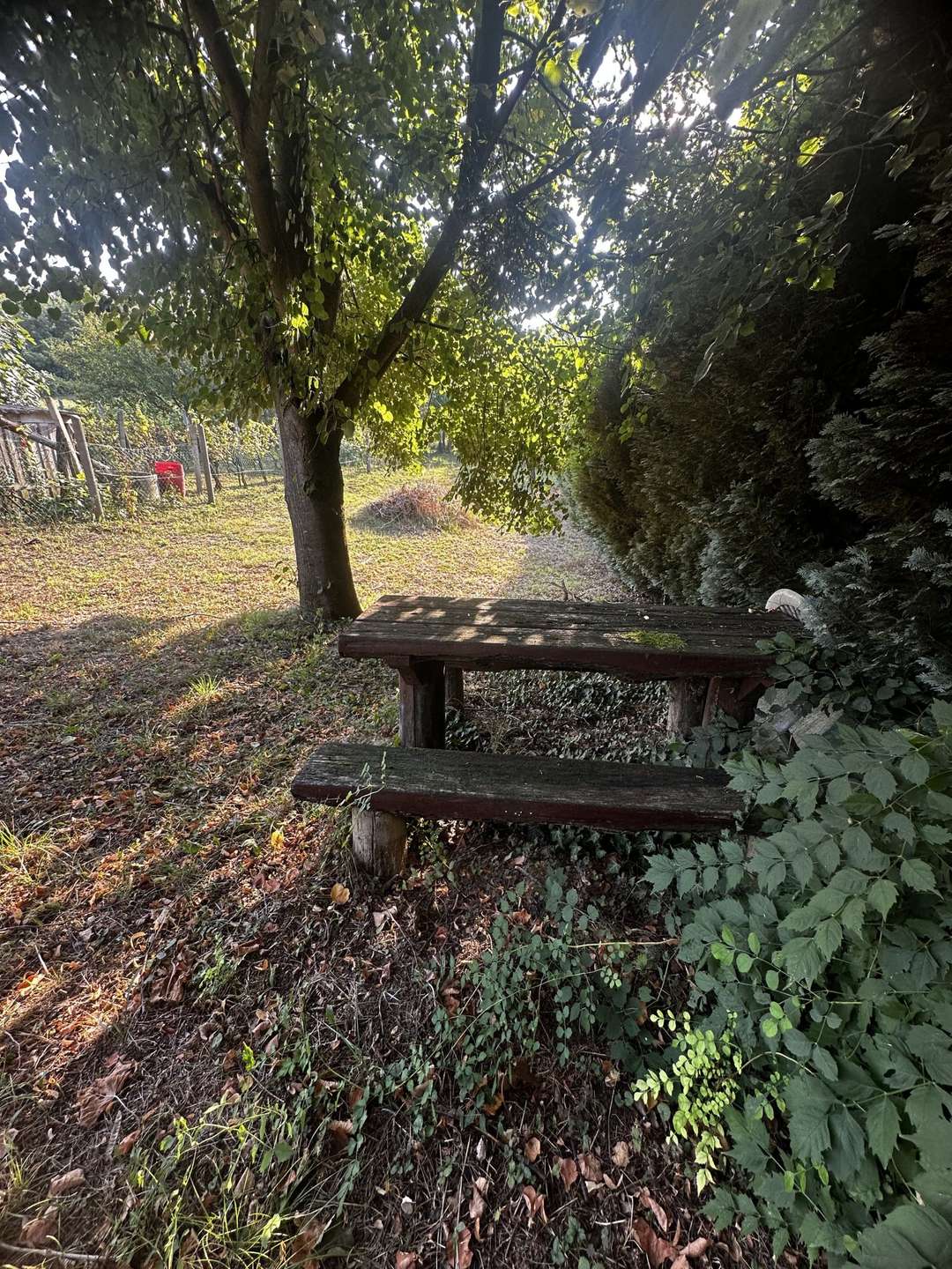 [object Object] - image