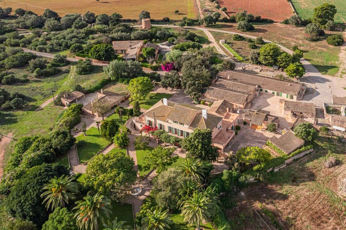 [object Object] - image