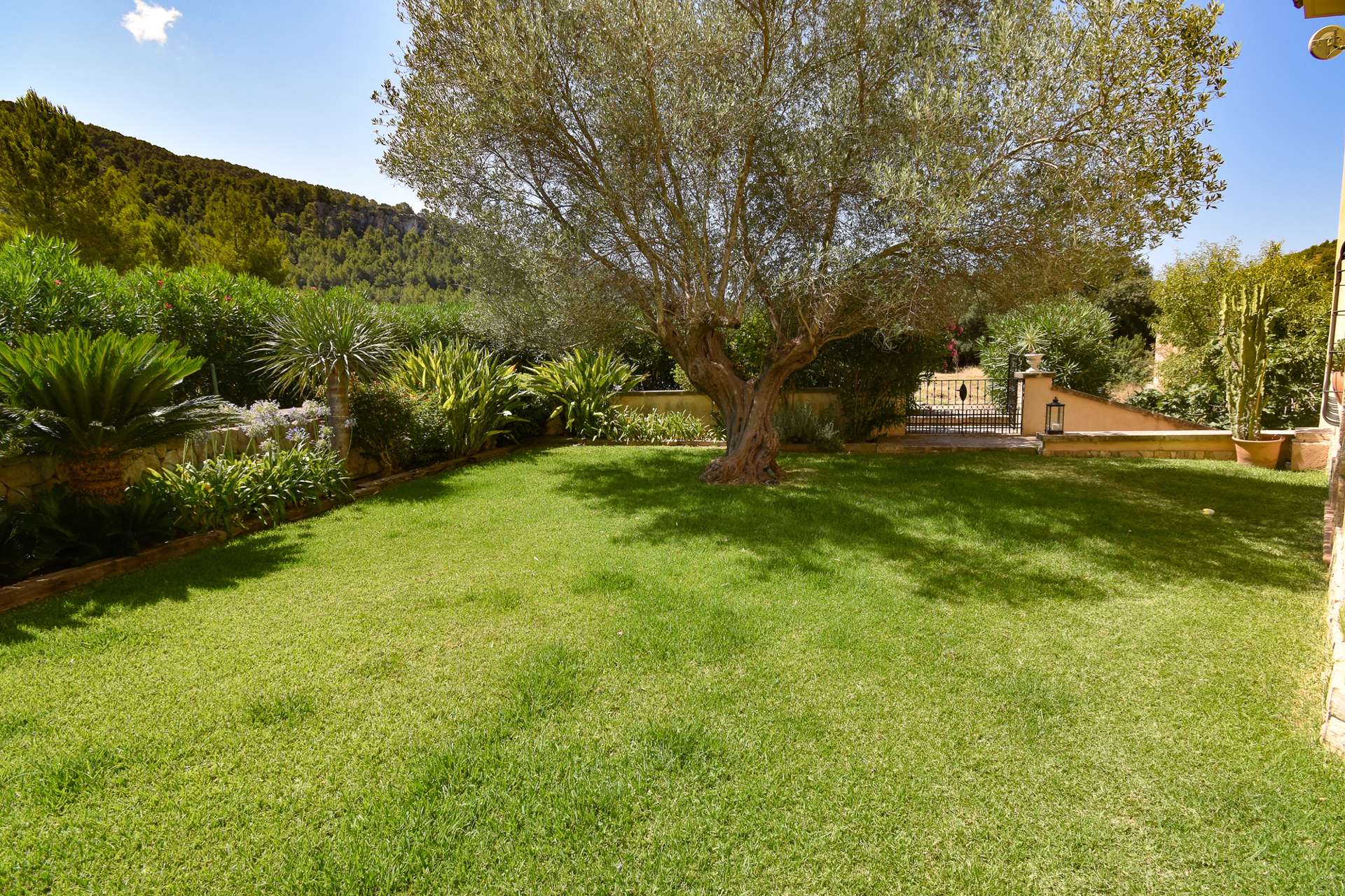 [object Object] - image