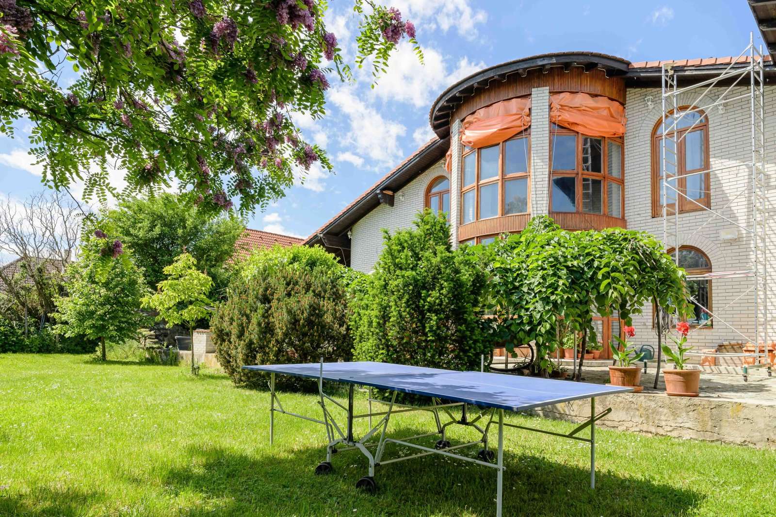 [object Object] - image