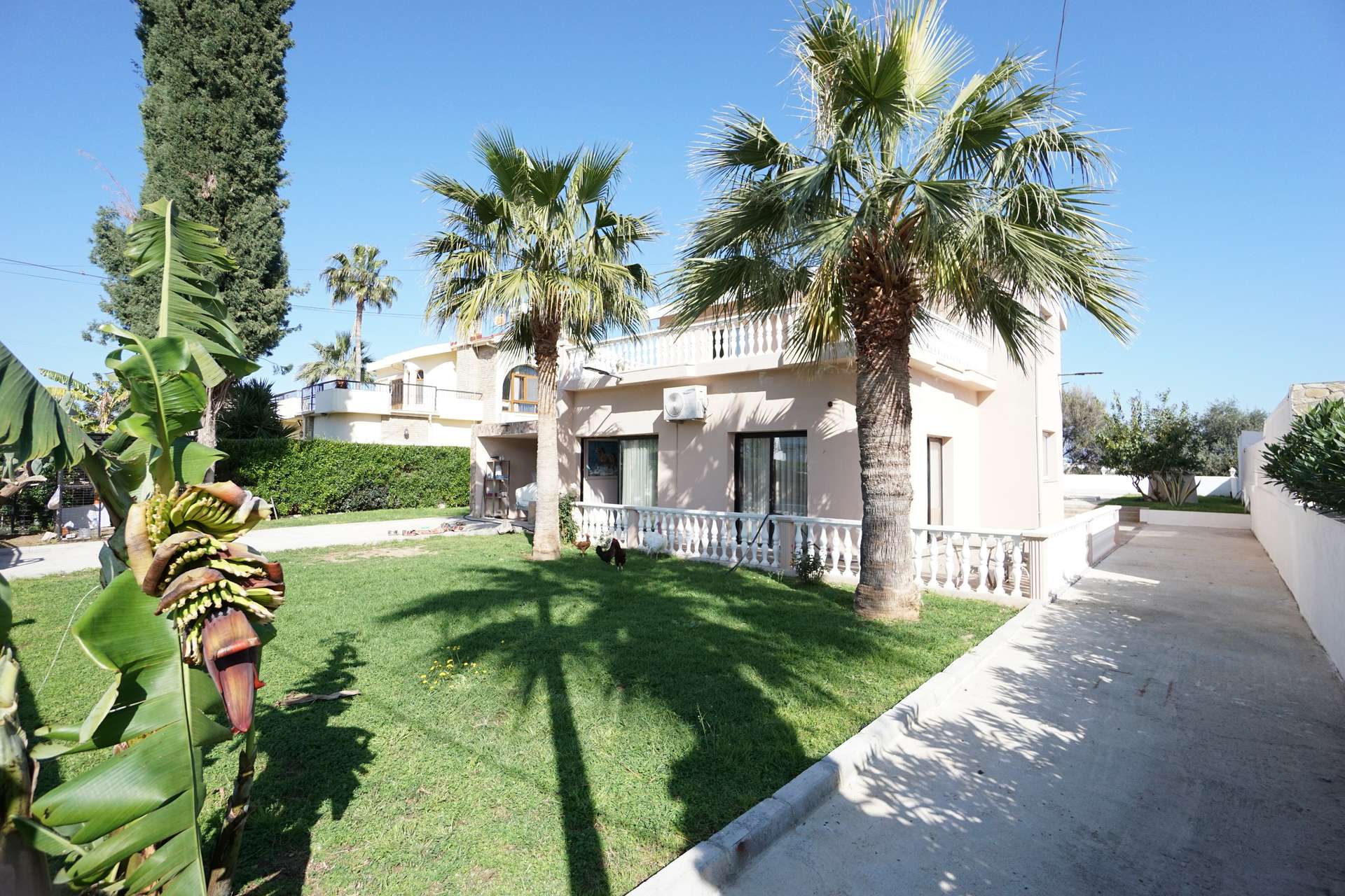 [object Object] - image